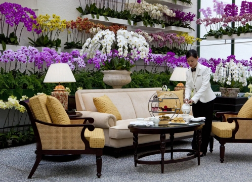 マジェスティックホテル_